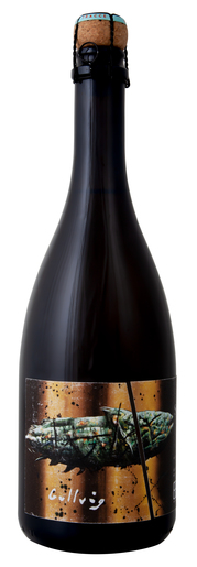 Pelassa Gullvag Millesimato Brut 2020